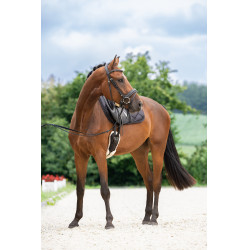 Schwedisches Zaumzeug Covalliero Schwarz Schwedisches Zaumzeug Covalliero Schwarz