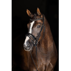 Schwedisches Zaumzeug Covalliero Schwarz Schwedisches Zaumzeug Covalliero Schwarz