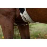 LED-Martingal Covalliero Gelb LED-Martingal Covalliero Gelb