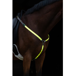 LED-Martingal Covalliero Gelb