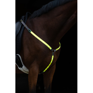 LED-Martingal Covalliero Gelb