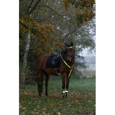 LED-Martingal Covalliero Gelb