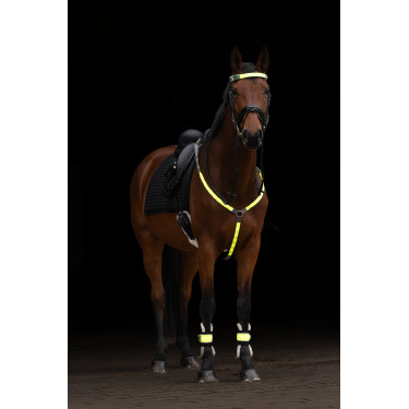 LED-Martingal Covalliero Gelb