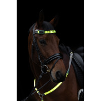 LED-Stirnband Covalliero Gelb