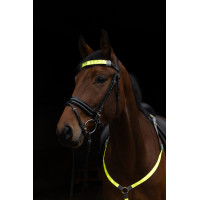 LED-Stirnband Covalliero Gelb