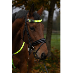 LED-Stirnband Covalliero Gelb LED-Stirnband Covalliero Gelb