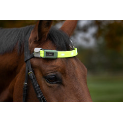 LED-Stirnband Covalliero Gelb LED-Stirnband Covalliero Gelb