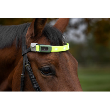 LED-Stirnband Covalliero Gelb LED-Stirnband Covalliero Gelb