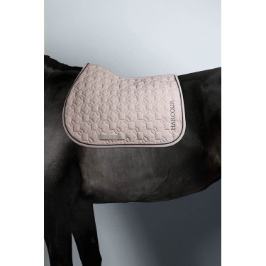 Satteldecke Sitka Harcour Satteldecke Sitka Harcour