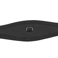 Arena Classic Gurt Schwarz Arena Classic Gurt Schwarz