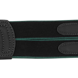 Arena Classic Gurt Schwarz