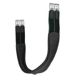 Arena Classic Gurt Schwarz