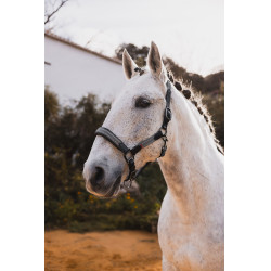 Lederhalfter B Vertigo Lennox Chimäre Grau Lederhalfter B Vertigo Lennox Chimäre Grau