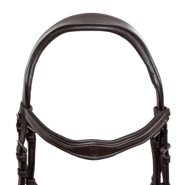 Anatomisches Zaumzeug mit Equestro-Logo Dunkelbraun