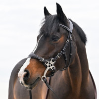 Hackamore Leder Jump'In kurze und flache Schenkel Pony Schwarz