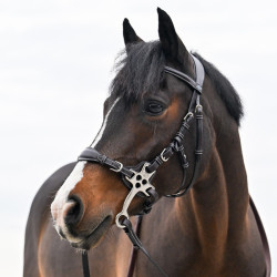 Hackamore Leder Jump'In kurze und flache Schenkel Pony Schwarz Hackamore Leder Jump'In kurze und flache Schenkel Pony Schwarz