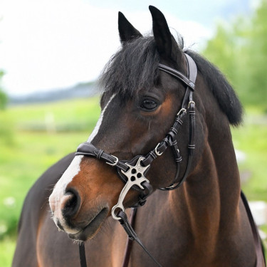 Hackamore-Zaum Jump'In One Premium