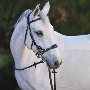 Hackamore-Zaum Jump'In One Premium Hackamore-Zaum Jump'In One Premium
