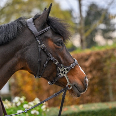 Hackamore-Zaum Jump'In One Premium Hackamore-Zaum Jump'In One Premium