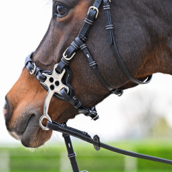 Hackamore-Zaum Jump'In One Premium Havanna Braun Hackamore-Zaum Jump'In One Premium Havanna Braun