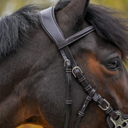 Hackamore-Zaum Jump'In One Premium Havanna Braun Hackamore-Zaum Jump'In One Premium Havanna Braun