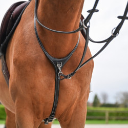 Halsband und abnehmbare Martingal Jump'In Collection One Premium