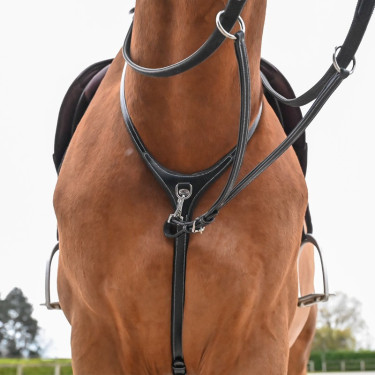 Halsband und abnehmbare Martingal Jump'In Collection One Premium Halsband und abnehmbare Martingal Jump'In Collection One Premium