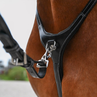 Halsband und abnehmbare Martingal Jump'In Collection One Premium Halsband und abnehmbare Martingal Jump'In Collection One Premium