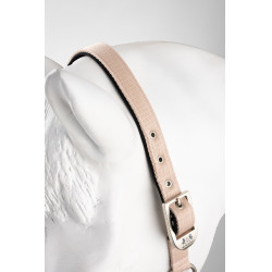 Halfter Hardwick B Vertigo Sepia-Rose Rosa