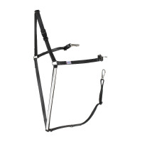 AMERIKANISCHES BETA-GESCHIRR Schwarz / Weiß AMERIKANISCHES BETA-GESCHIRR Schwarz / Weiß