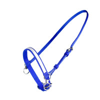 KLEINES NYLONHALFTER MIT RING Blau / Weiß