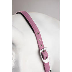 Halfter und Führstrick Horze Graffiti Pony Rosa Begonie