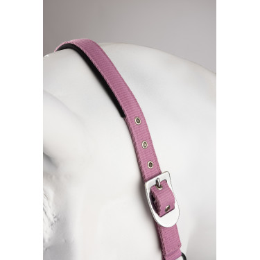 Halfter und Führstrick Horze Graffiti Pony Rosa Begonie