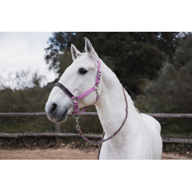 Halfter und Führstrick Horze Graffiti Pony Rosa Begonie