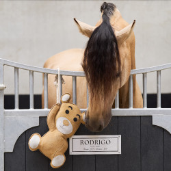 Spielzeug für die Box Imperial Riding Teddy Spielzeug für die Box Imperial Riding Teddy