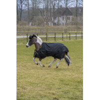 Irische Turnout-Decke Bucas 100g Schwarz / Gold Irische Turnout-Decke Bucas 100g Schwarz / Gold