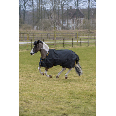 Irische Turnout-Decke Bucas 100g Schwarz / Gold Irische Turnout-Decke Bucas 100g Schwarz / Gold