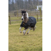 Irische Turnout-Decke Bucas 100g Schwarz / Gold Irische Turnout-Decke Bucas 100g Schwarz / Gold
