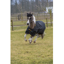 Irische Turnout-Decke Bucas 100g Schwarz / Gold
