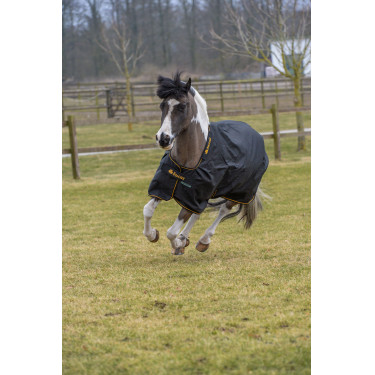 Irische Turnout-Decke Bucas 100g Schwarz / Gold Irische Turnout-Decke Bucas 100g Schwarz / Gold