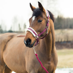 Longierleine Howard Crescendo Horze Violett Lila