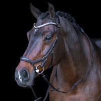 Trense HV Polo Legacy Anatomique Deluxe Schwarz Trense HV Polo Legacy Anatomique Deluxe Schwarz