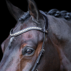 Trense HV Polo Legacy Anatomique Deluxe Schokobraun