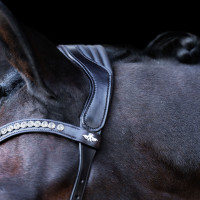 Trense HV Polo Legacy Anatomique Deluxe Schwarz Trense HV Polo Legacy Anatomique Deluxe Schwarz