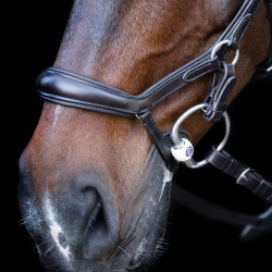 Trense HV Polo Legacy Anatomique Deluxe Schokobraun