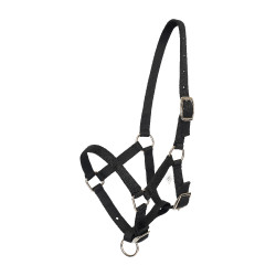 Fohlenhalfter HV Polo Nena Schwarz