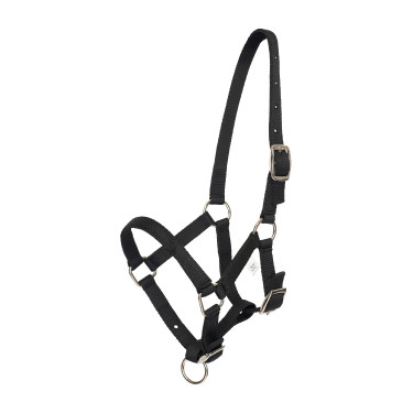 Fohlenhalfter HV Polo Nena Schwarz