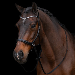 Gebisslose Trense HV Polo Legacy