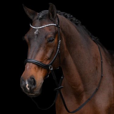 Gebisslose Trense HV Polo Legacy