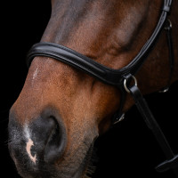 Gebisslose Trense HV Polo Legacy Schokobraun Gebisslose Trense HV Polo Legacy Schokobraun